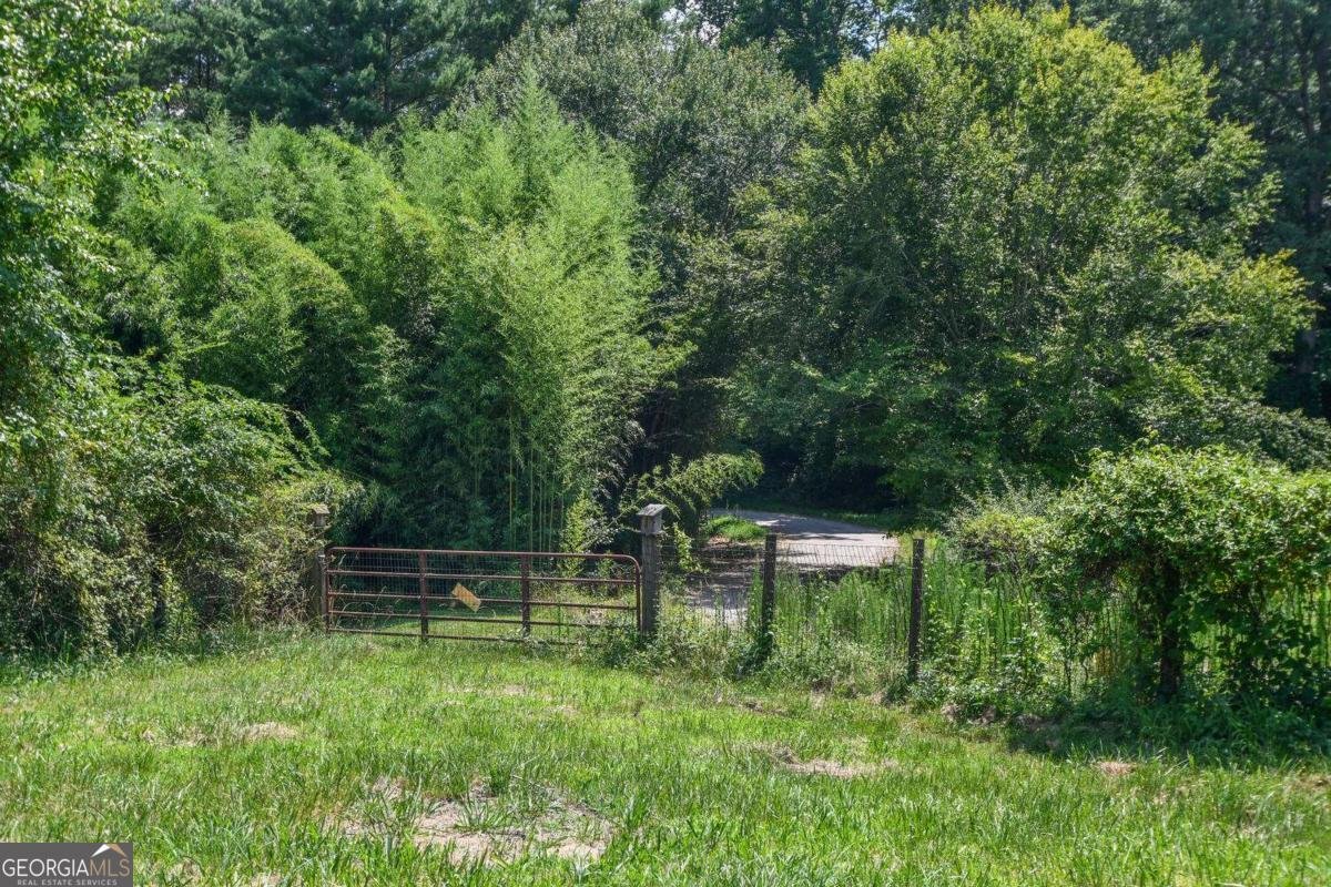 501 The Orchard Road Clarkesville - 17