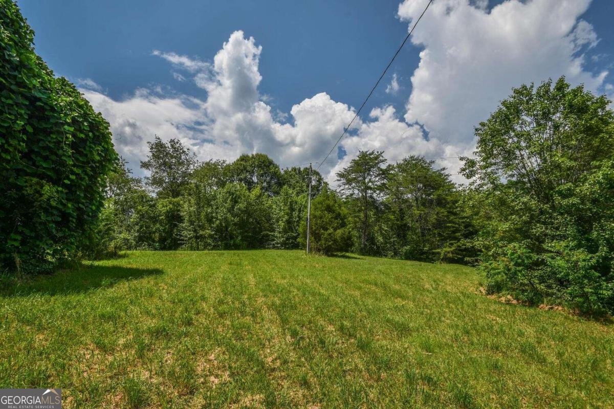 501 The Orchard Road Clarkesville - 18