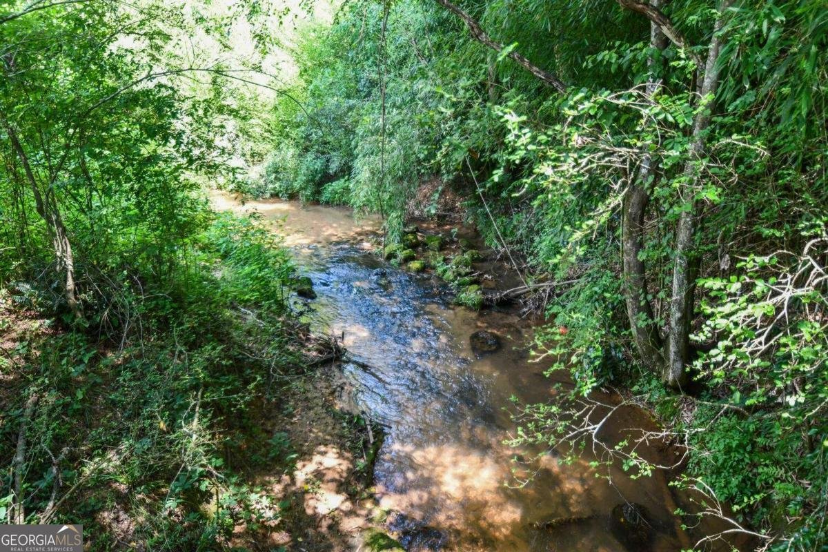 501 The Orchard Road Clarkesville - 19