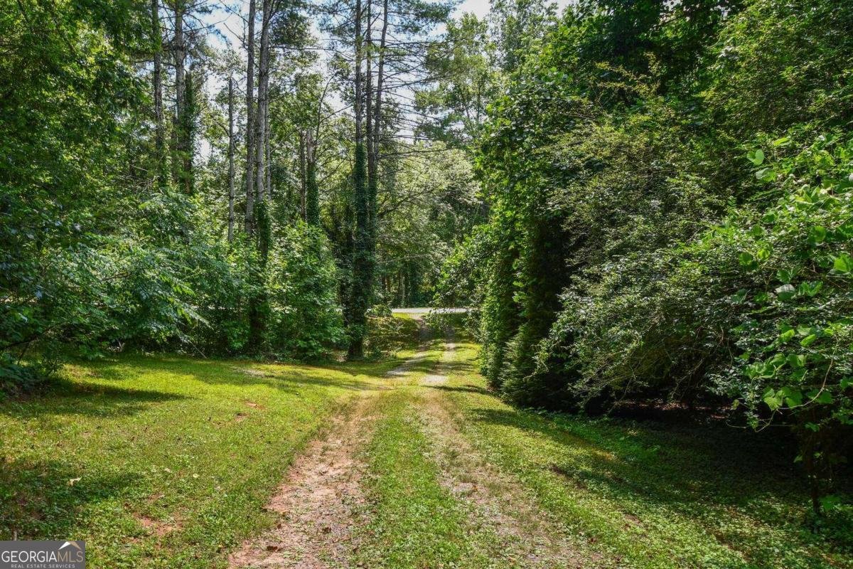 501 The Orchard Road Clarkesville - 3