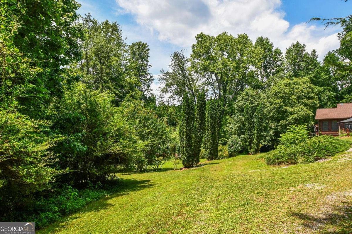 501 The Orchard Road Clarkesville - 4