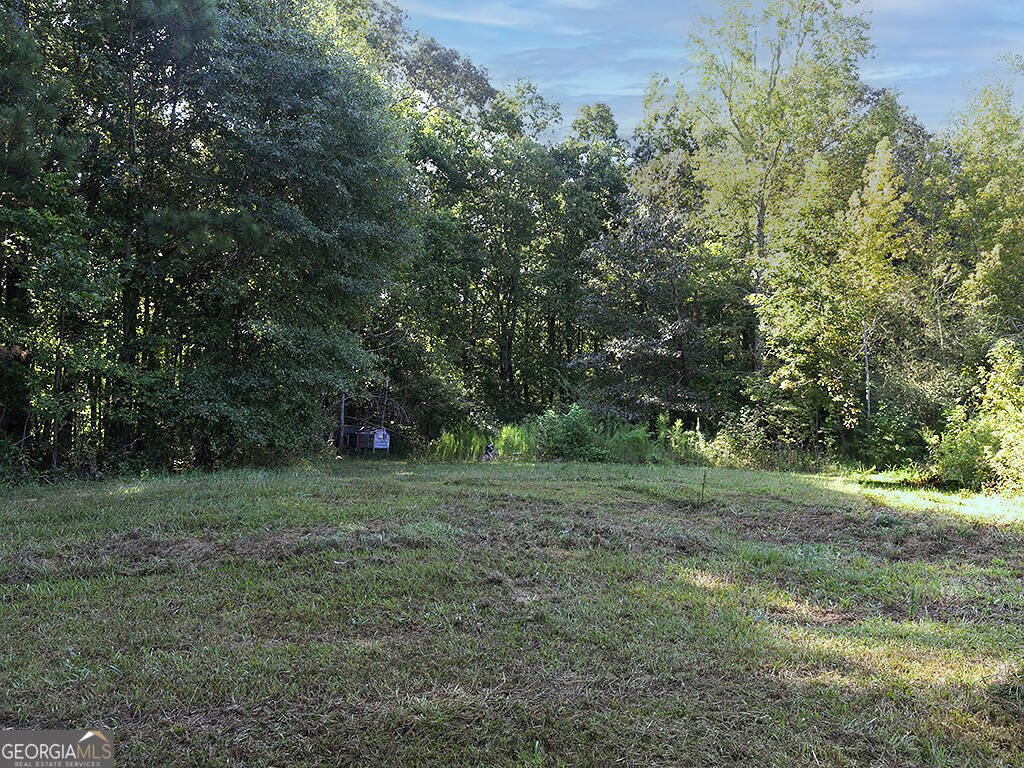 174 Lee Williams Road Carrollton - 34
