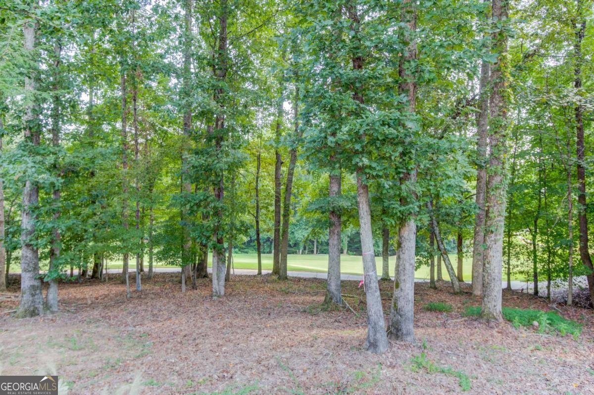 630 Greenview Terrace Alpharetta - 68