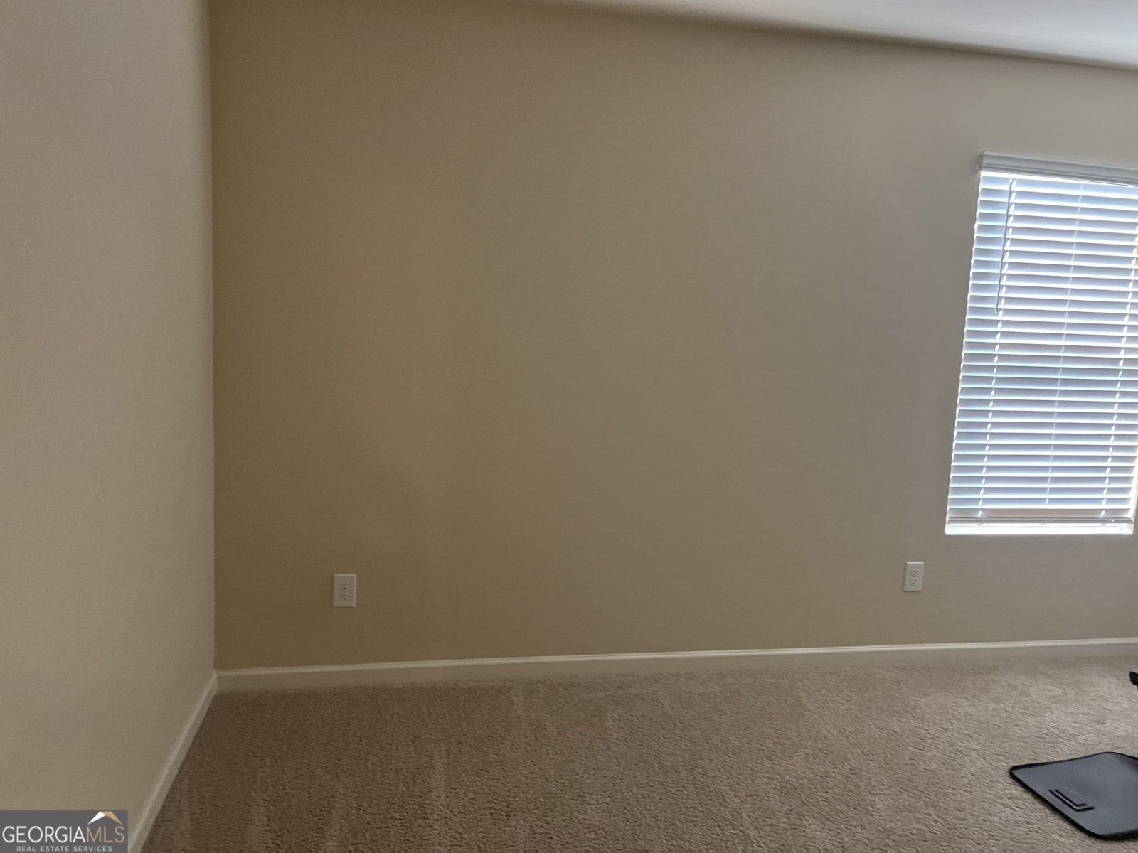 1262 Brookstone Circle Conyers - 10