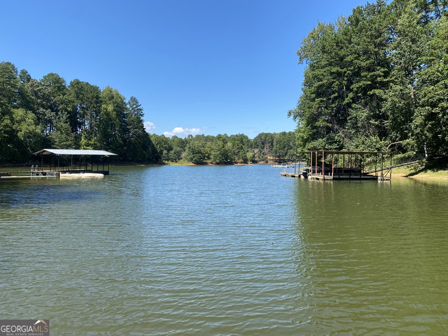 347 River Trail Martin - 11