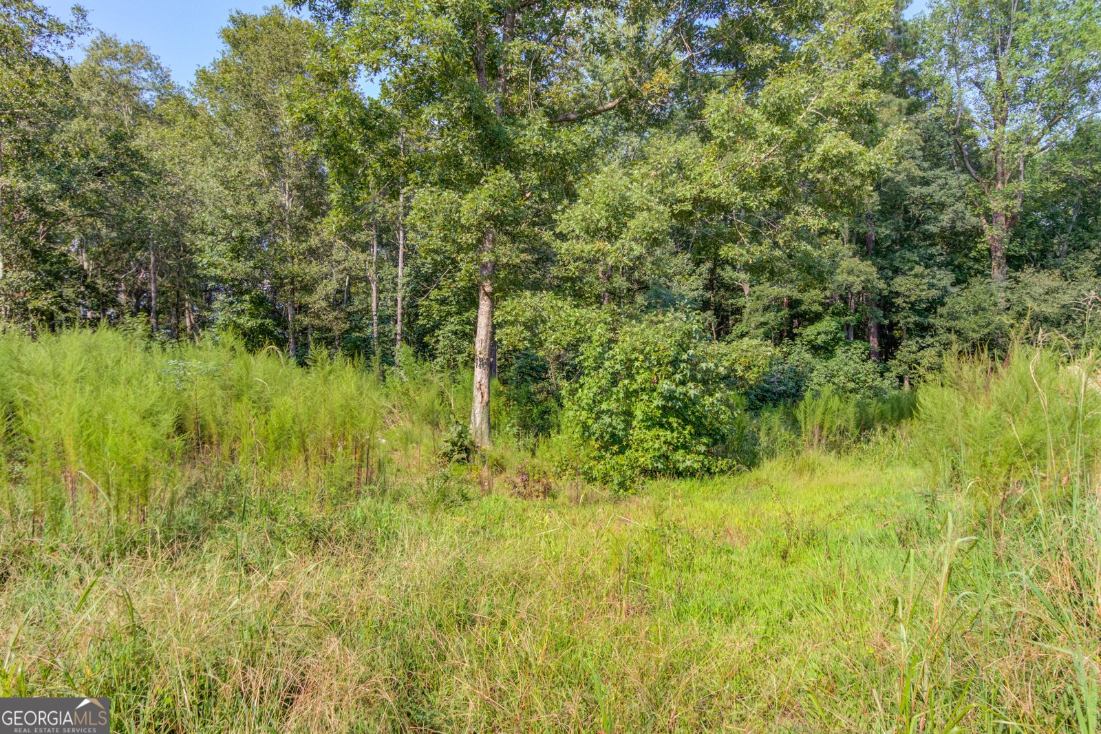 3698 Highway 83 Good Hope - 73