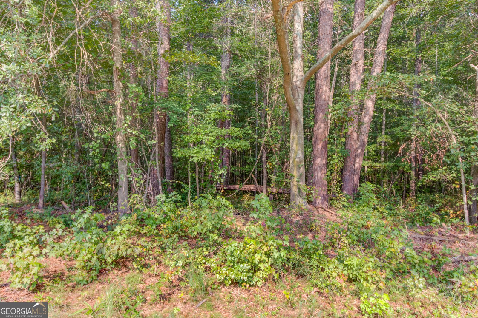 3698 Highway 83 Good Hope - 75