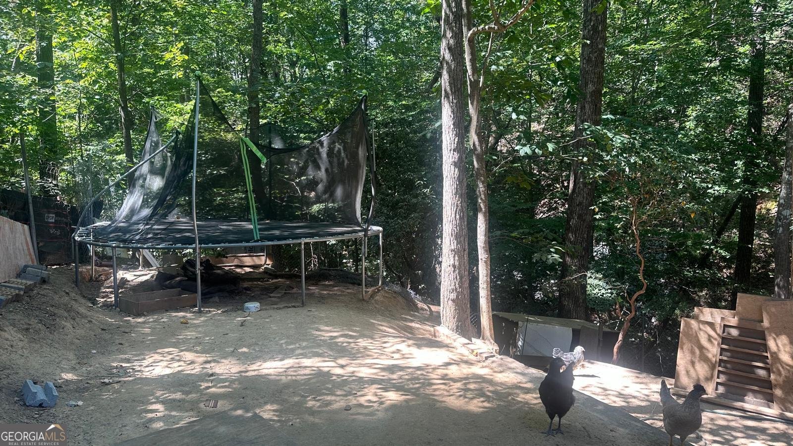 3789 Cherokee Overlook Drive Canton - 22