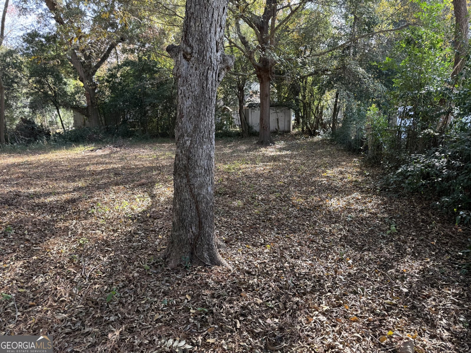 105 Angela Avenue Warner Robins - Photo 23