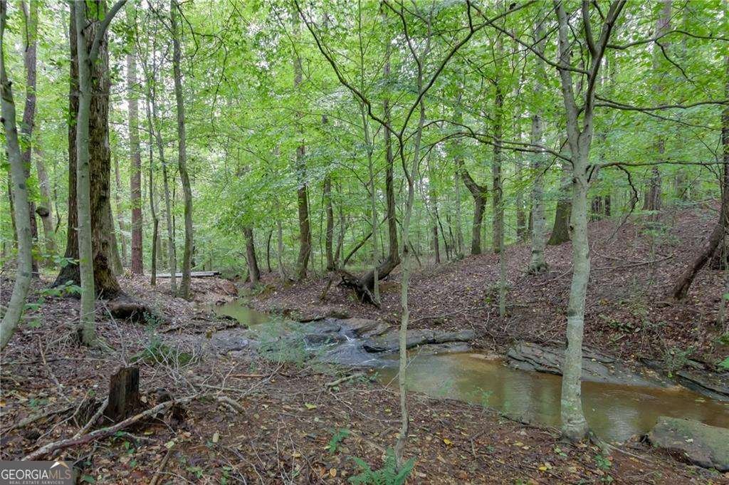 670 Johns Landing Way Lawrenceville - 42