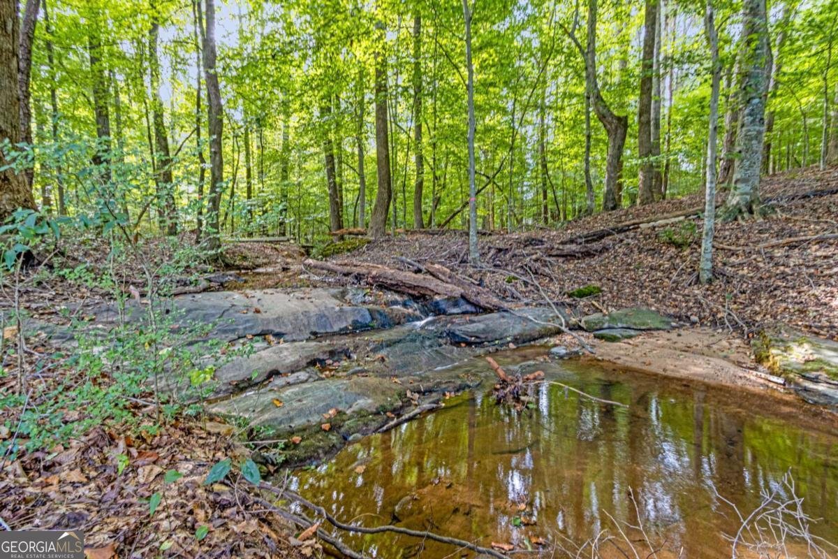 670 Johns Landing Way Lawrenceville - 43