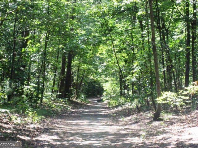 3542 Chattahoochee Summit Lane Atlanta - 37