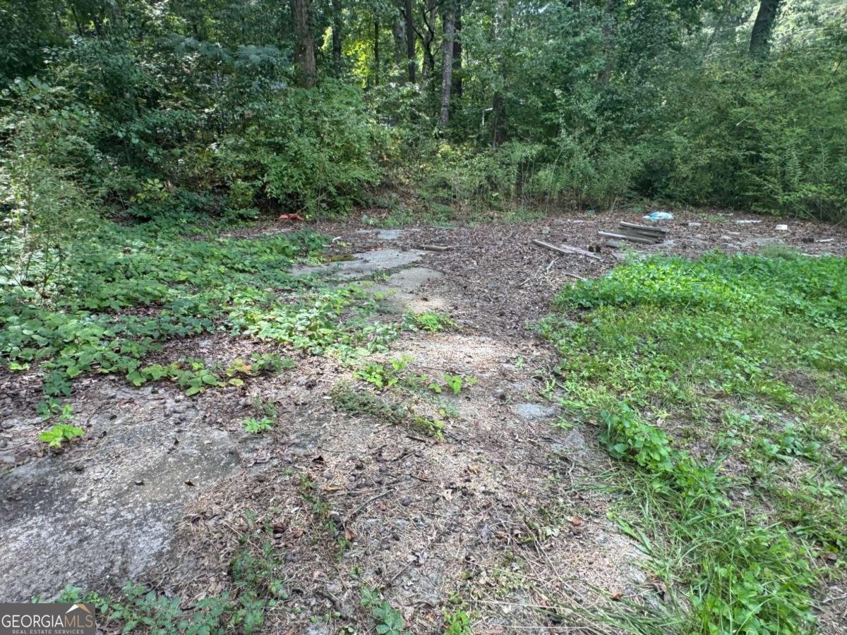 90 Smiley Ingram Road Cartersville - 10