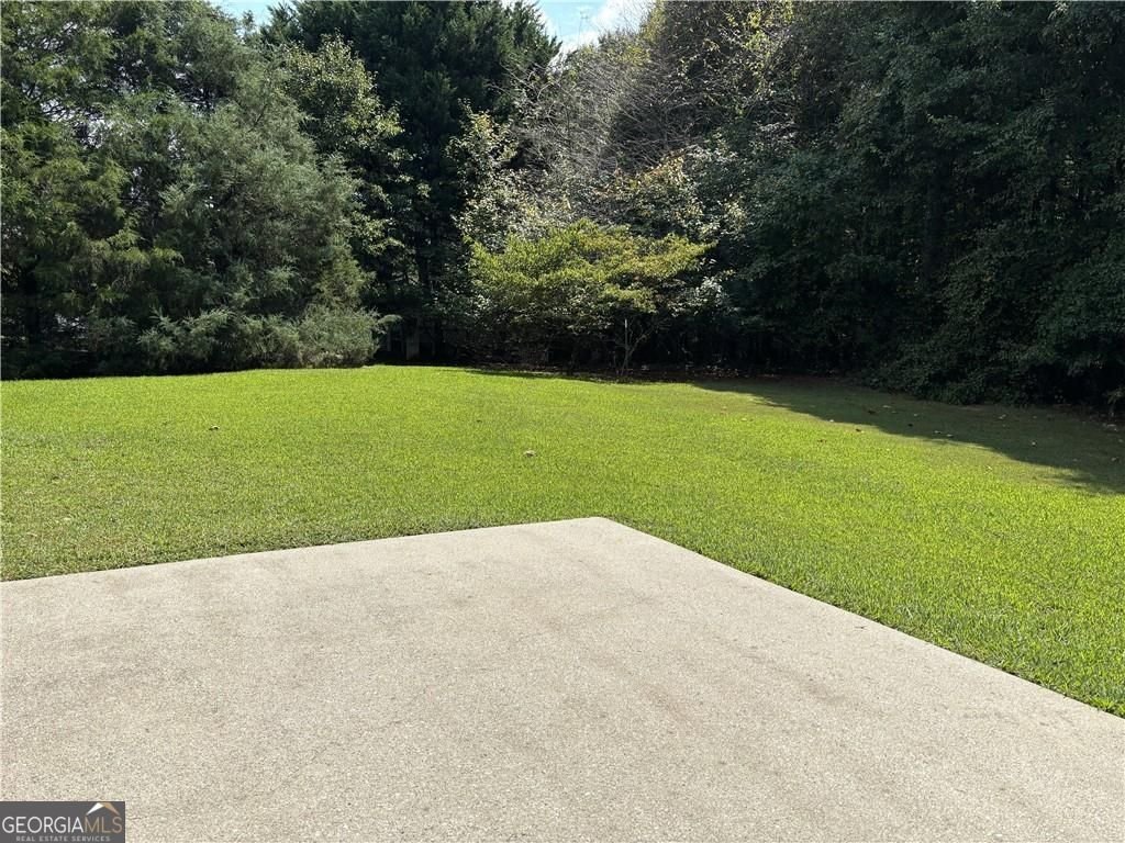 2989 Plantation Run Court Loganville - 4