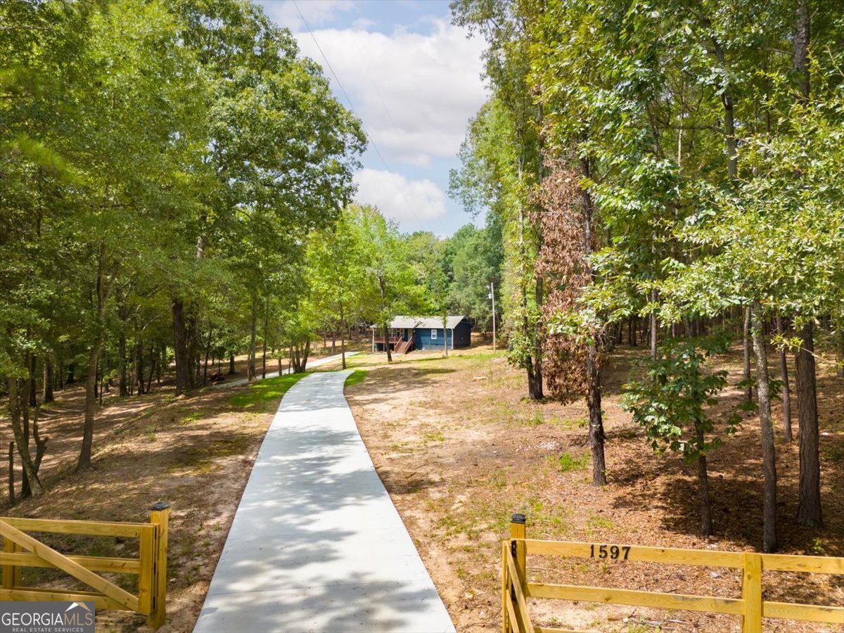 1597 Ewing chapel Road Dacula - 1