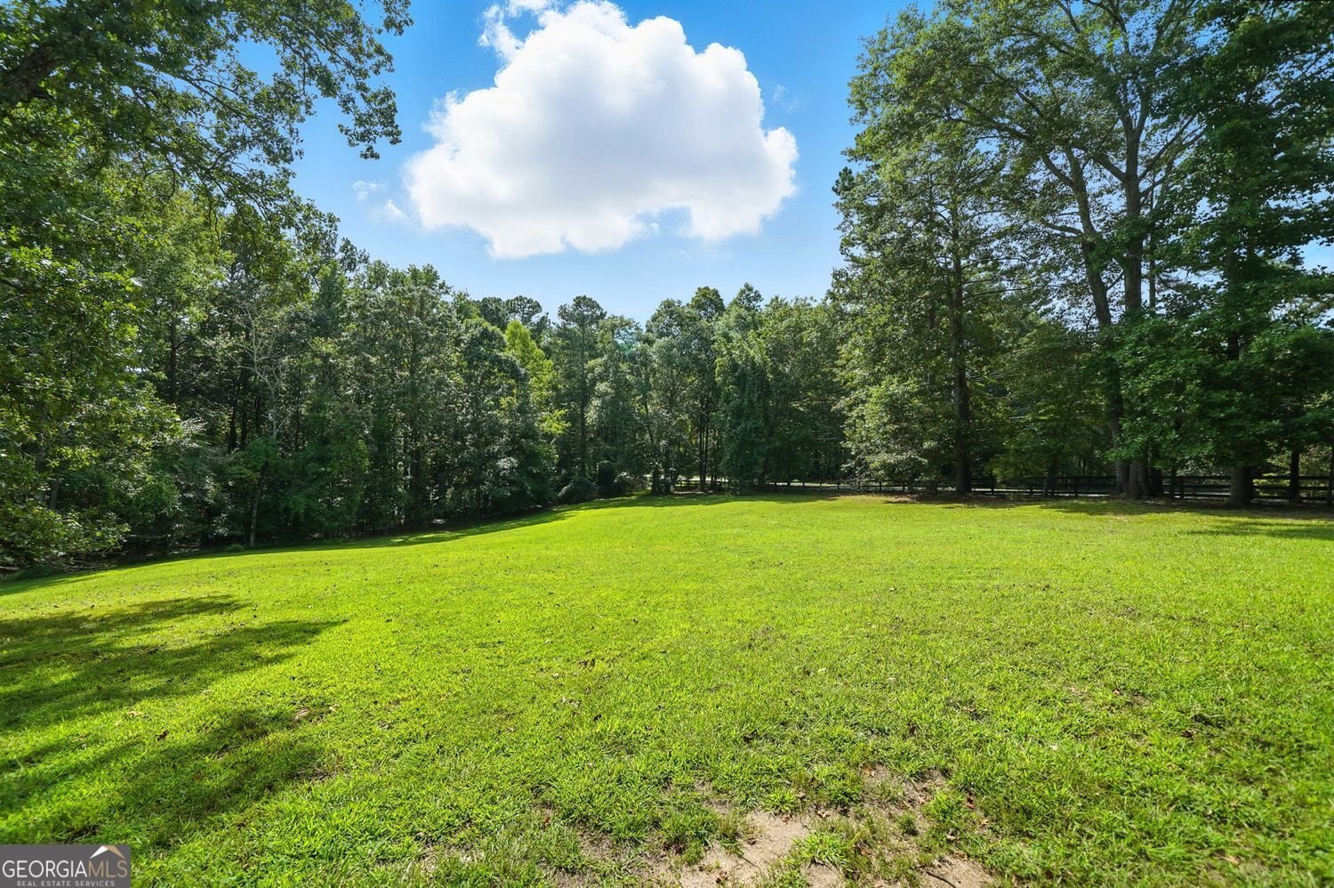 1092 Old Lathemtown Road Canton - 100