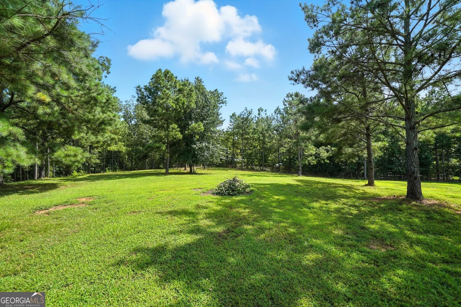 1092 Old Lathemtown Road Canton - 94