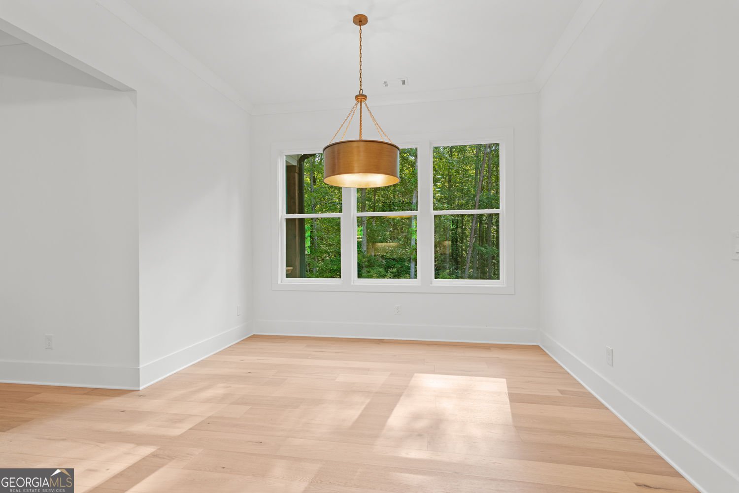 240 Highlands Chase Ball Ground - 27