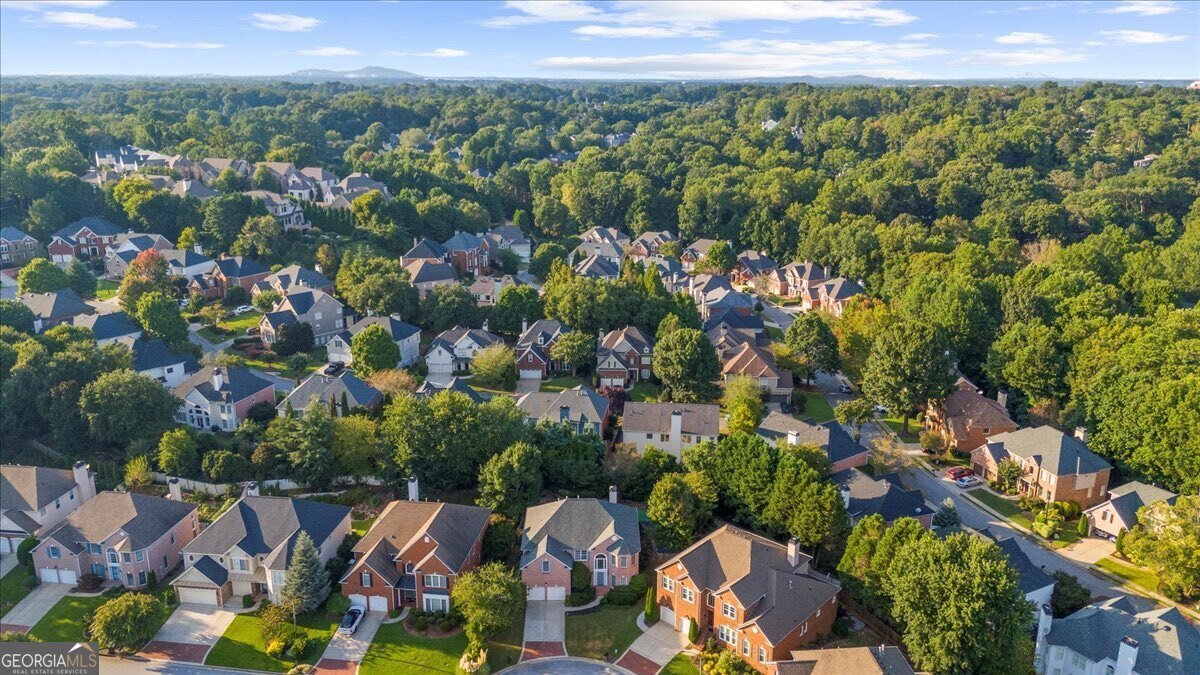 4204 Norbury Court Smyrna - 60