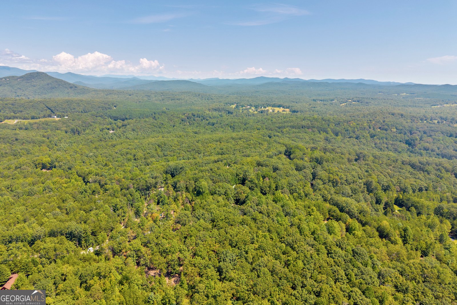 807 Satterfield Road Cleveland - 69