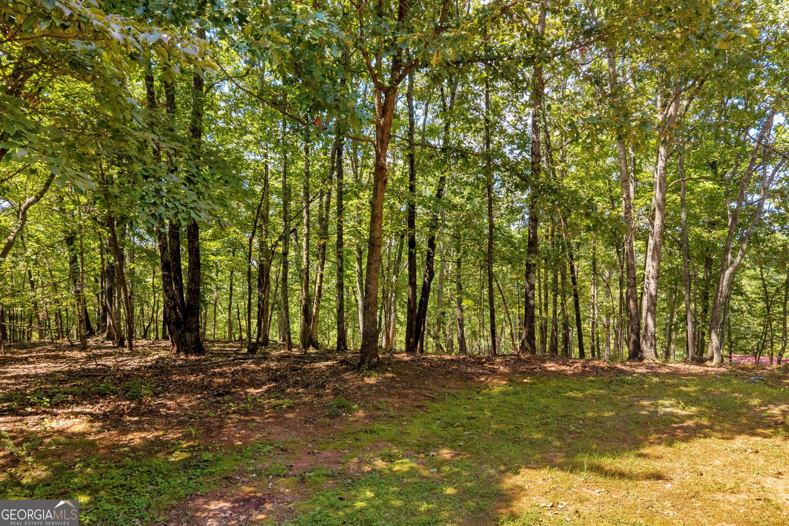 807 Satterfield Road Cleveland - 73