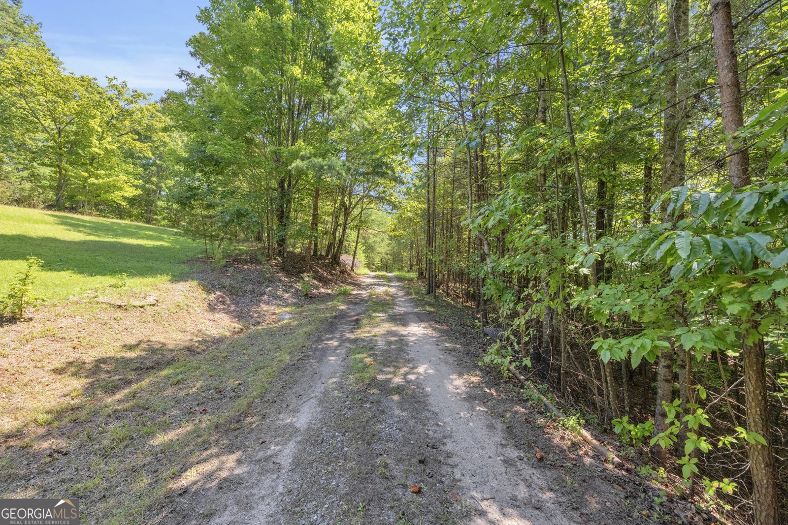 807 Satterfield Road Cleveland - 84