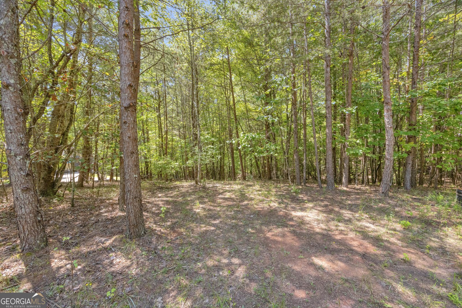 807 Satterfield Road Cleveland - 87