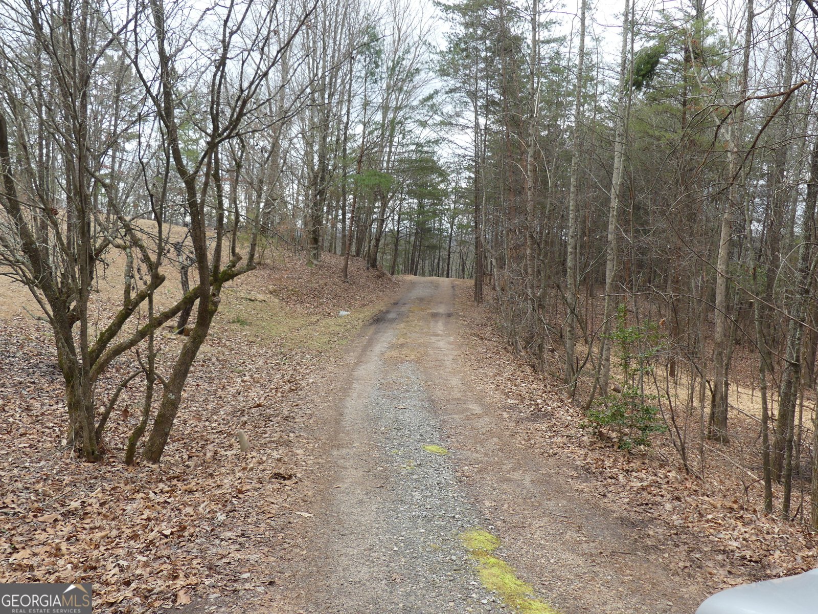 807 Satterfield Road Cleveland - Photo 93