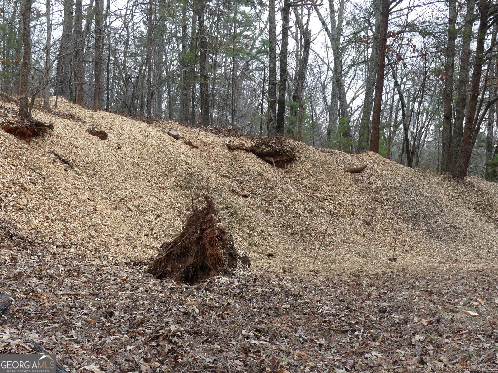 807 Satterfield Road Cleveland - Photo 99