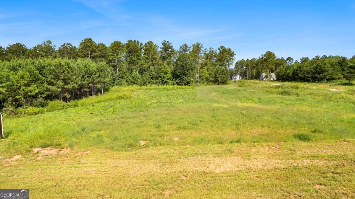 296 Beavers Road Grantville - 50