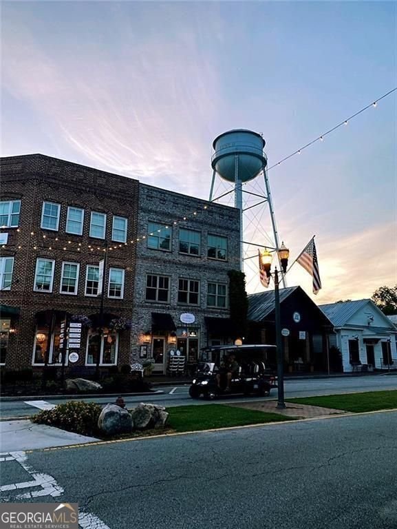 124 Morgan Street Senoia - 19