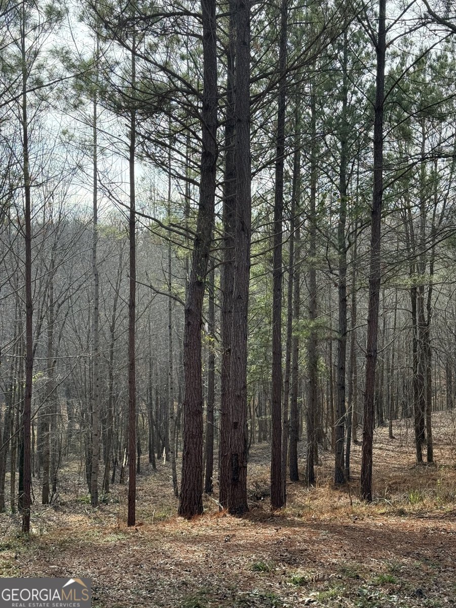 1111 Pintail Lane Madison - Photo 36