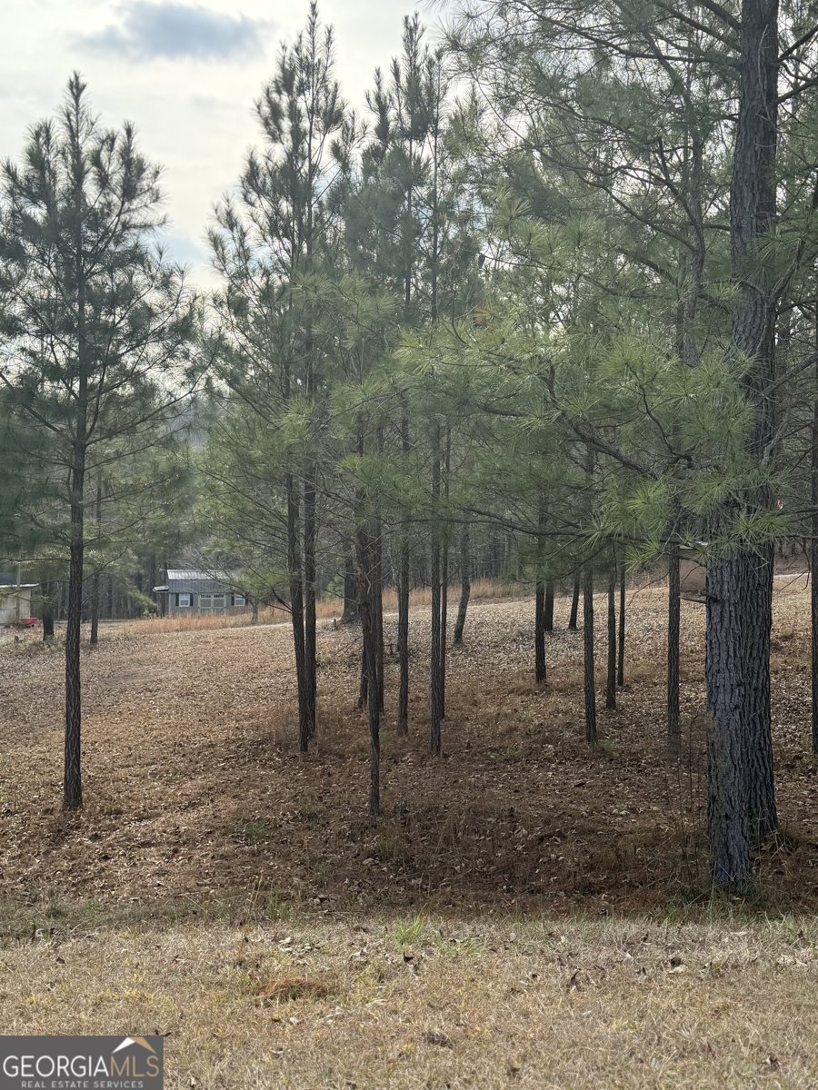 1111 Pintail Lane Madison - Photo 38