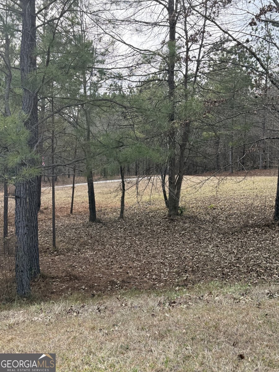 1111 Pintail Lane Madison - Photo 39