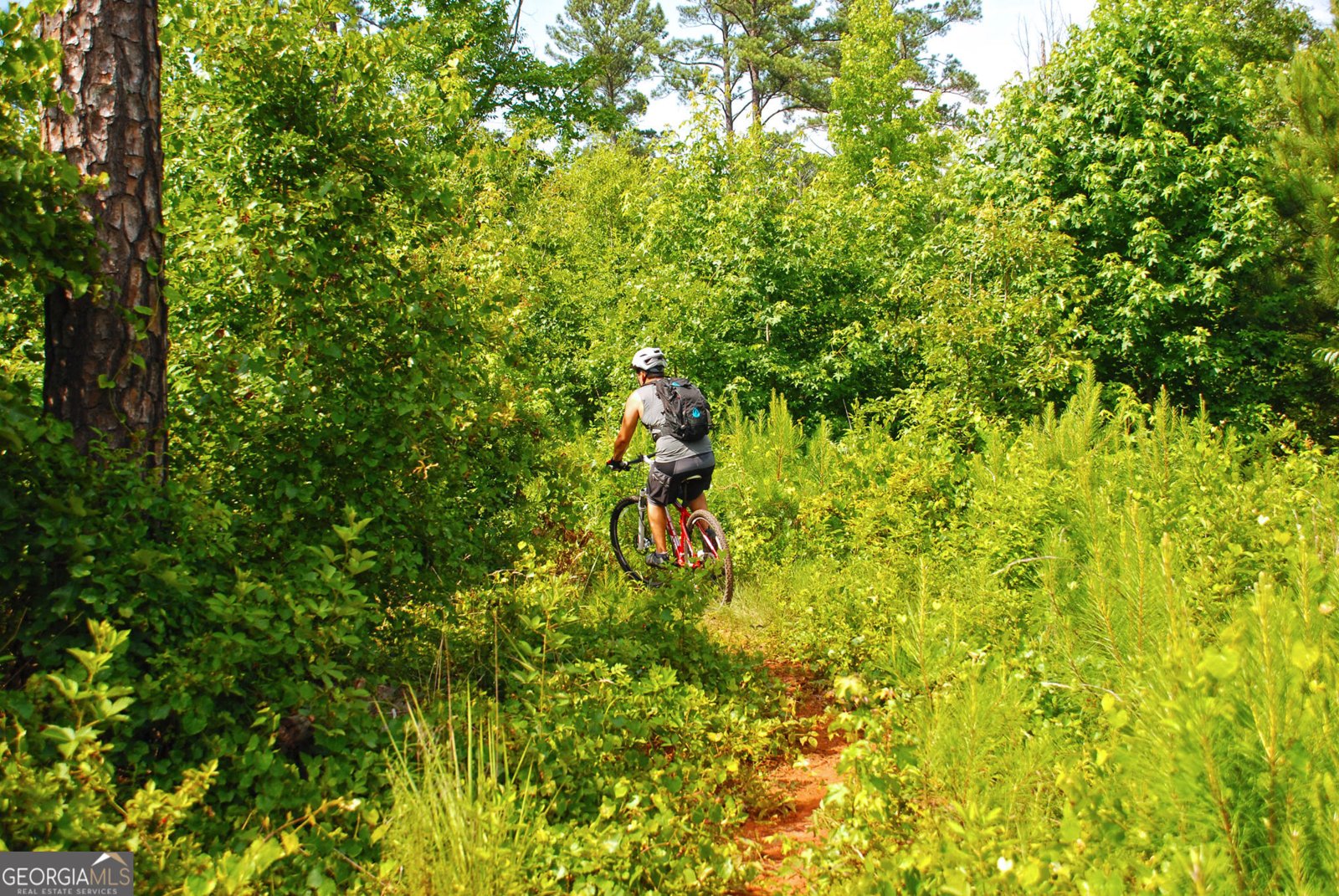 1111 Pintail Lane Madison - Photo 41