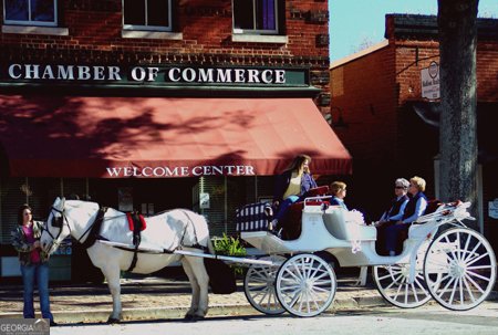 1111 Pintail Lane Madison - Photo 47