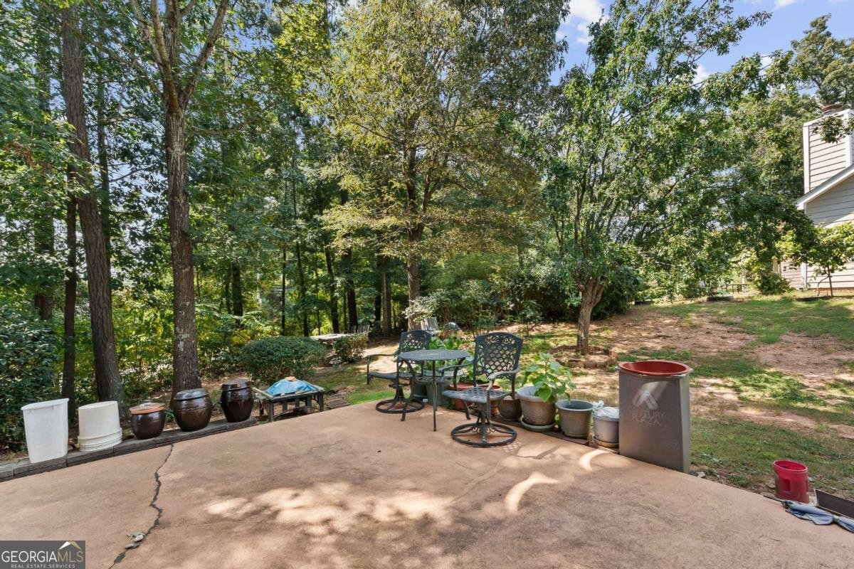 4394 Austin Hills Drive Suwanee - 48