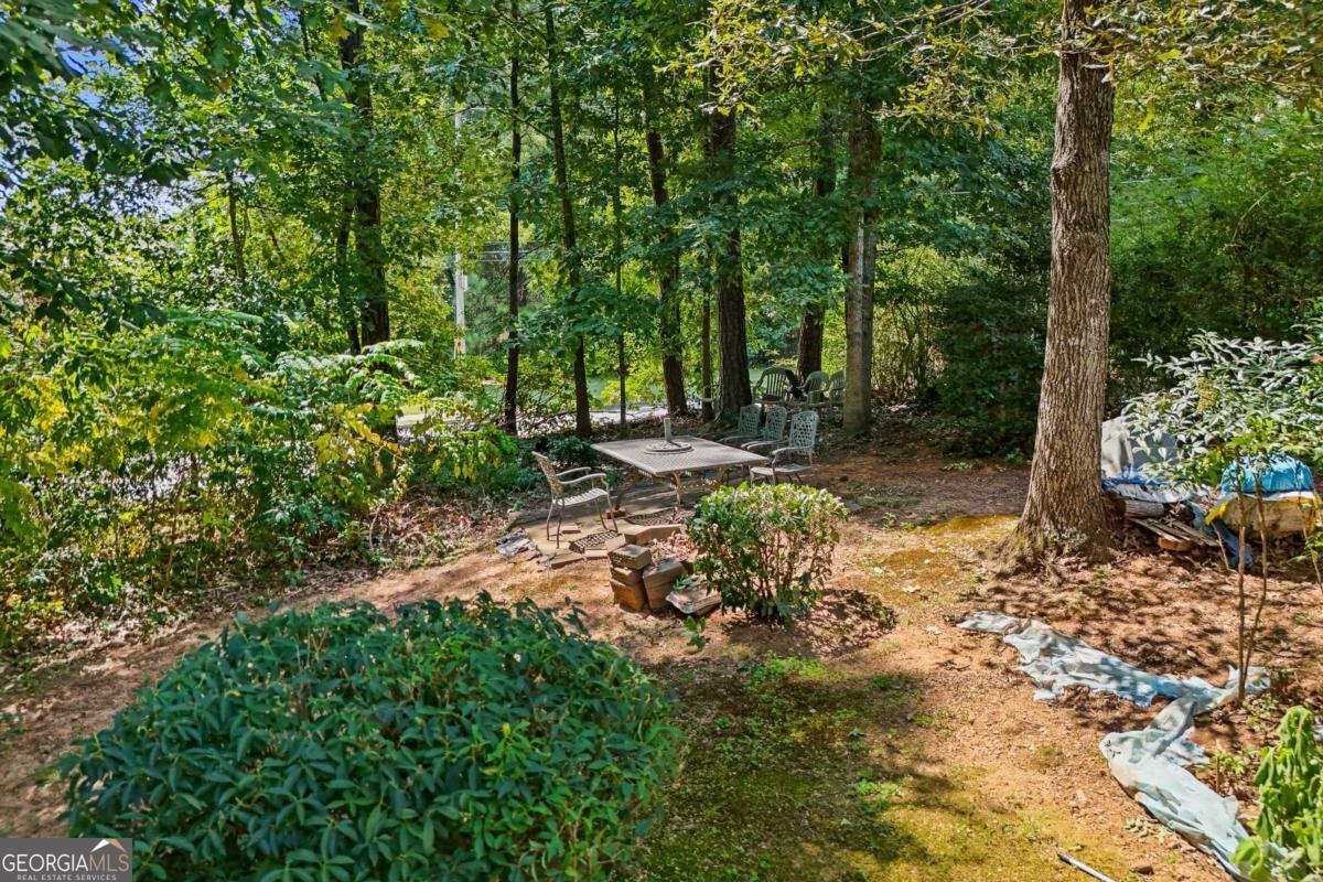 4394 Austin Hills Drive Suwanee - 50