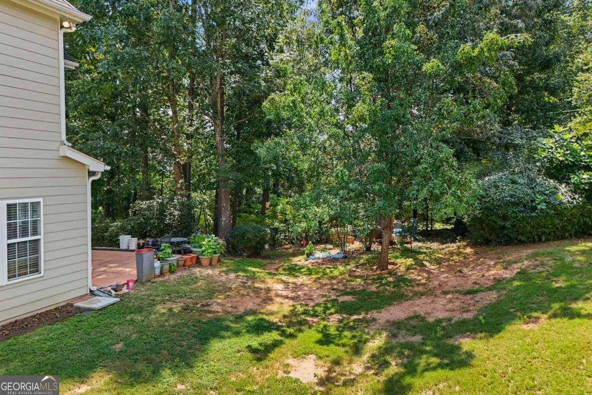 4394 Austin Hills Drive Suwanee - 52