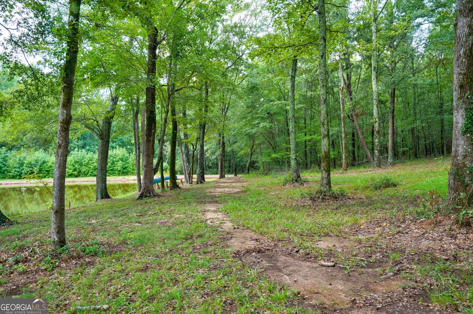 3471 Macon Highway Watkinsville - 30