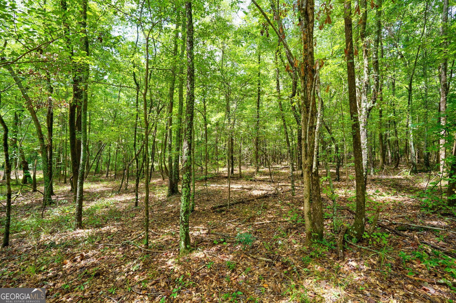 3471 Macon Highway Watkinsville - 33