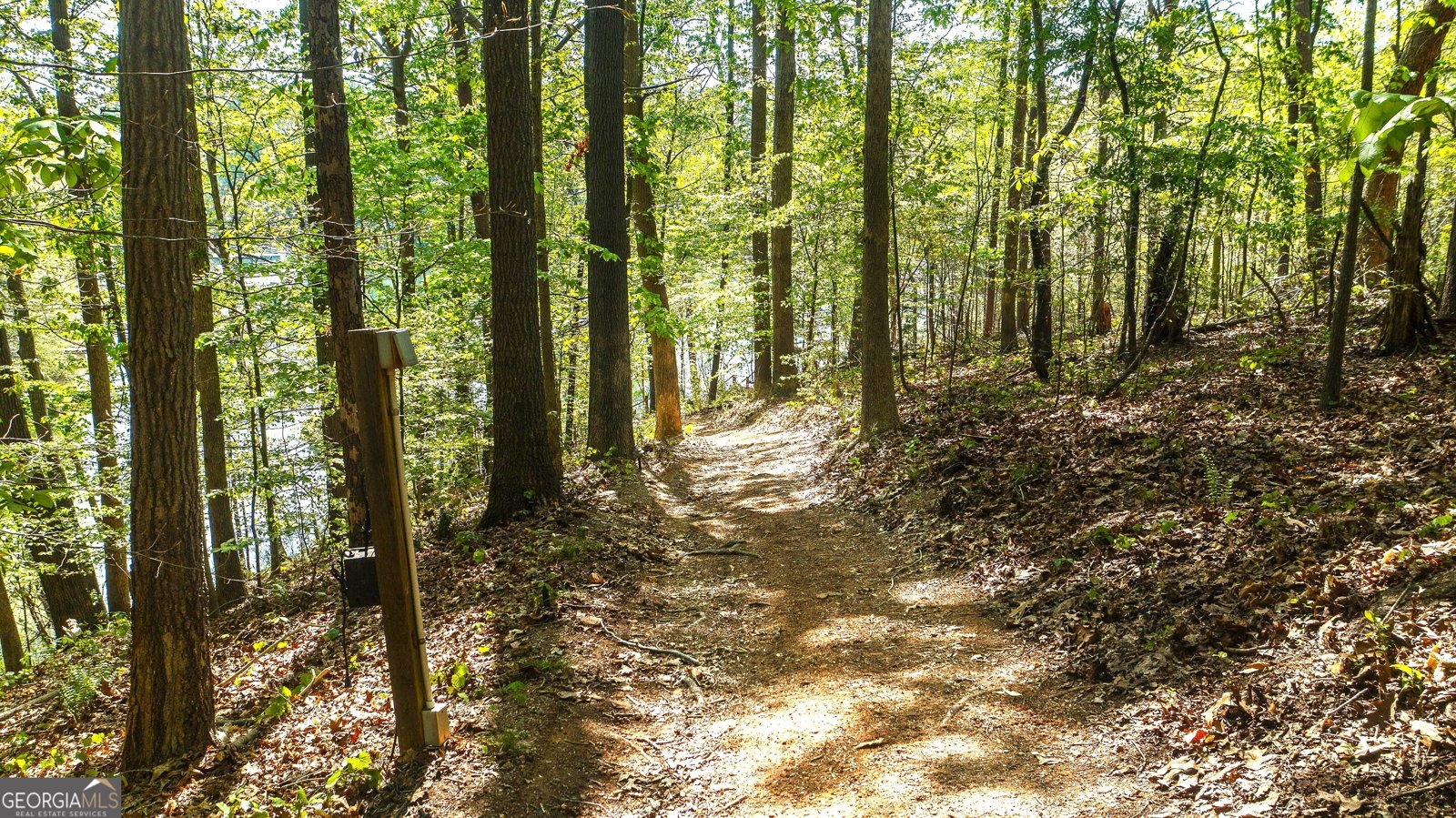 4650 PERRY Road Gainesville - Photo 38