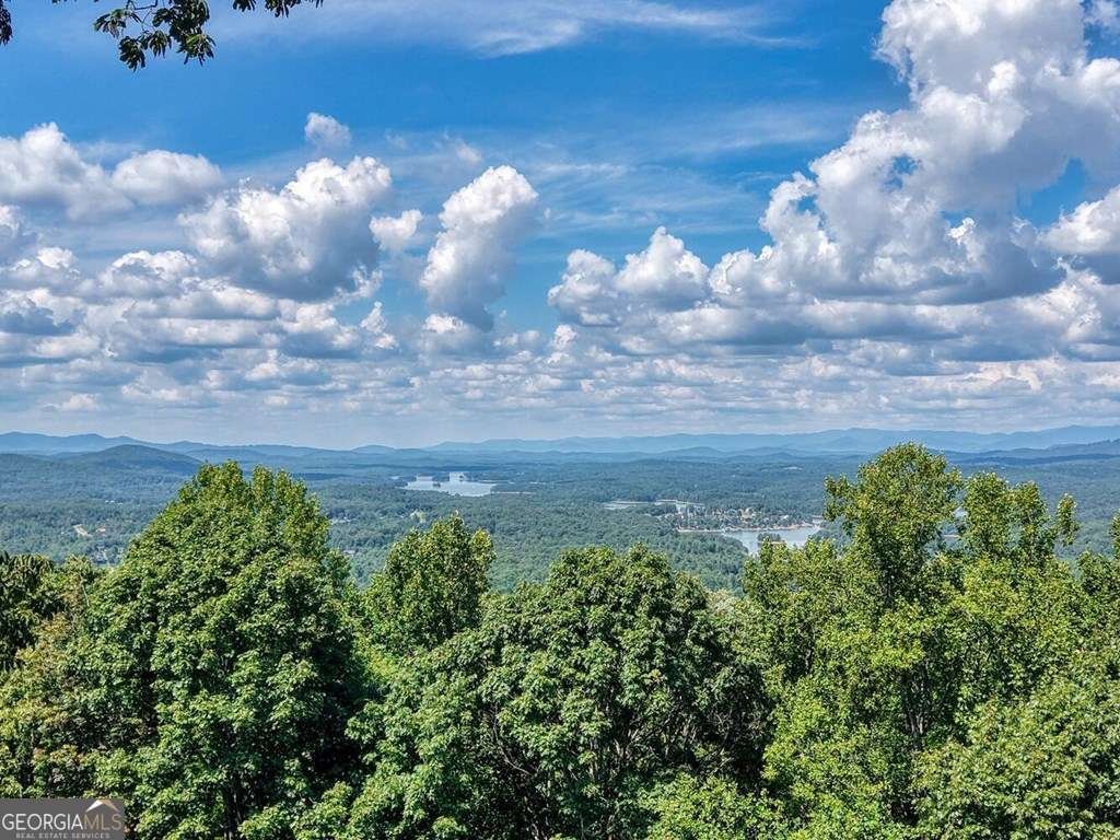 310 Hickory Fork Blairsville - 2