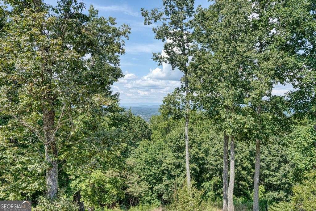 310 Hickory Fork Blairsville - 62