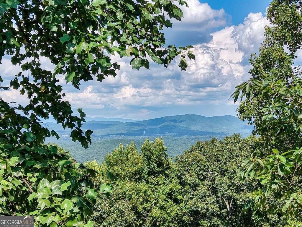 310 Hickory Fork Blairsville - 63