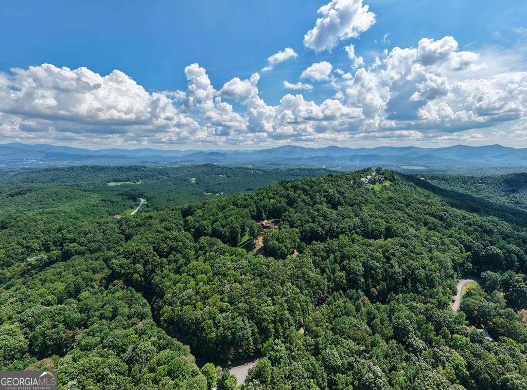 310 Hickory Fork Blairsville - 66