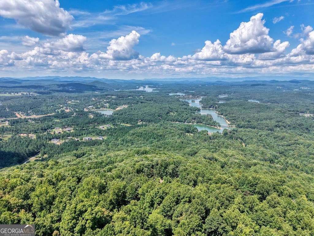 310 Hickory Fork Blairsville - 67