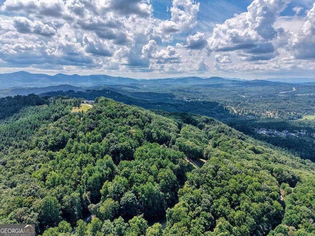 310 Hickory Fork Blairsville - 68