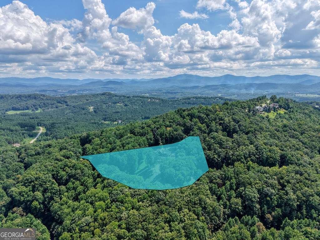 310 Hickory Fork Blairsville - 69