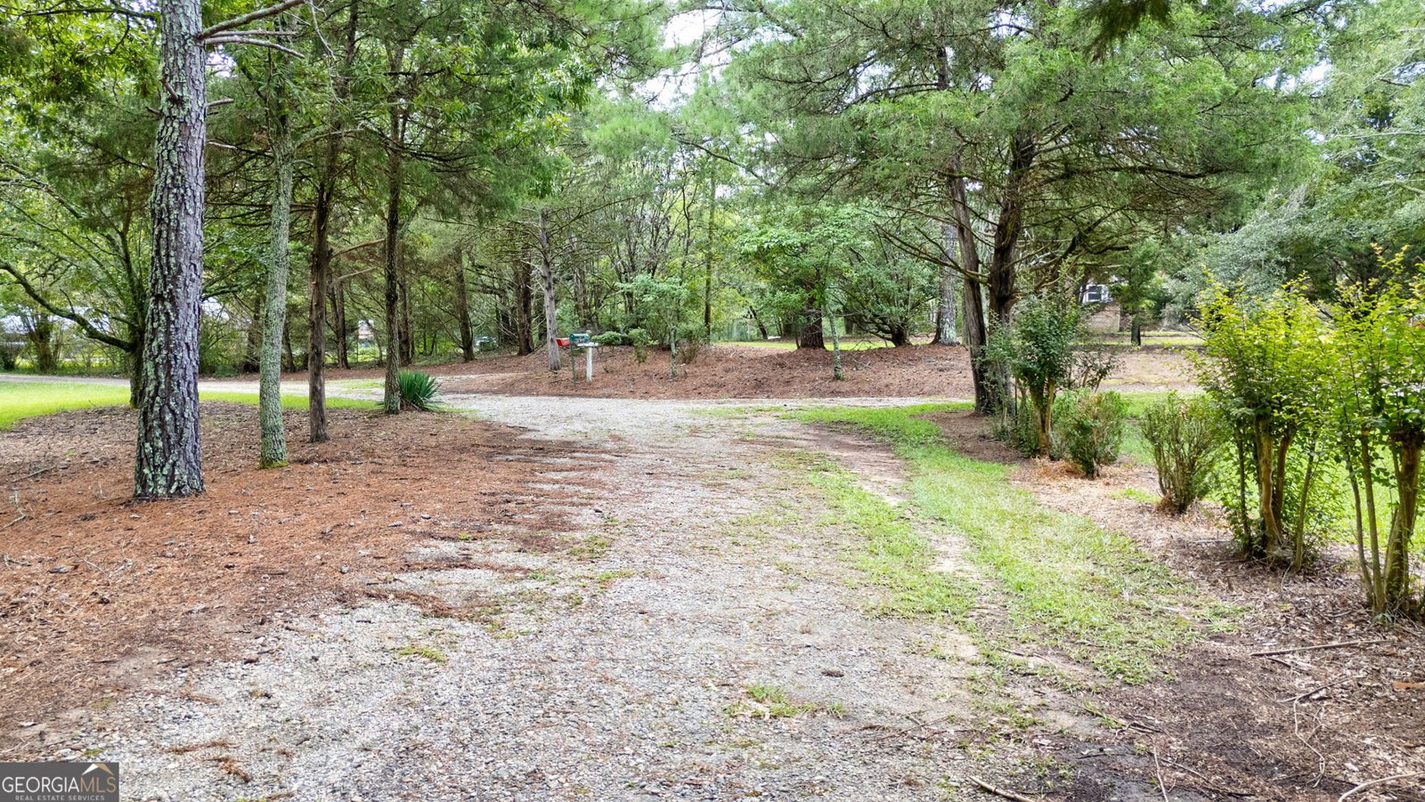 3521 Macon Highway Watkinsville - 10